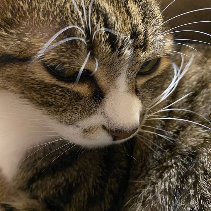 0270c701 29a5 4b75 aedf 345bbf1a0cbb 1638218042988