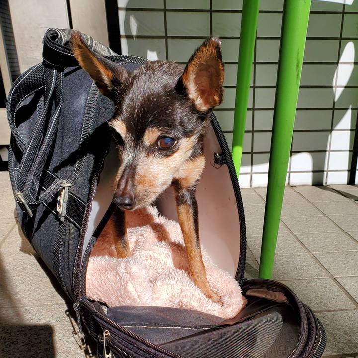 0270e047 ad60 43c4 a664 2bcf5678fd74 1703297368738