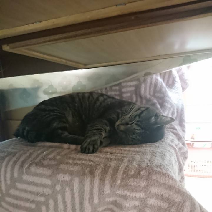 0270f3f7 7e9a 4507 99b1 e45af745567e 1654558284398