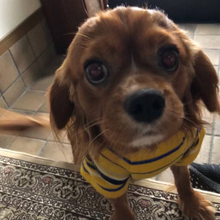 0270f8c5 21bc 4aa0 a1f4 f3440998fc2b 1549688819457