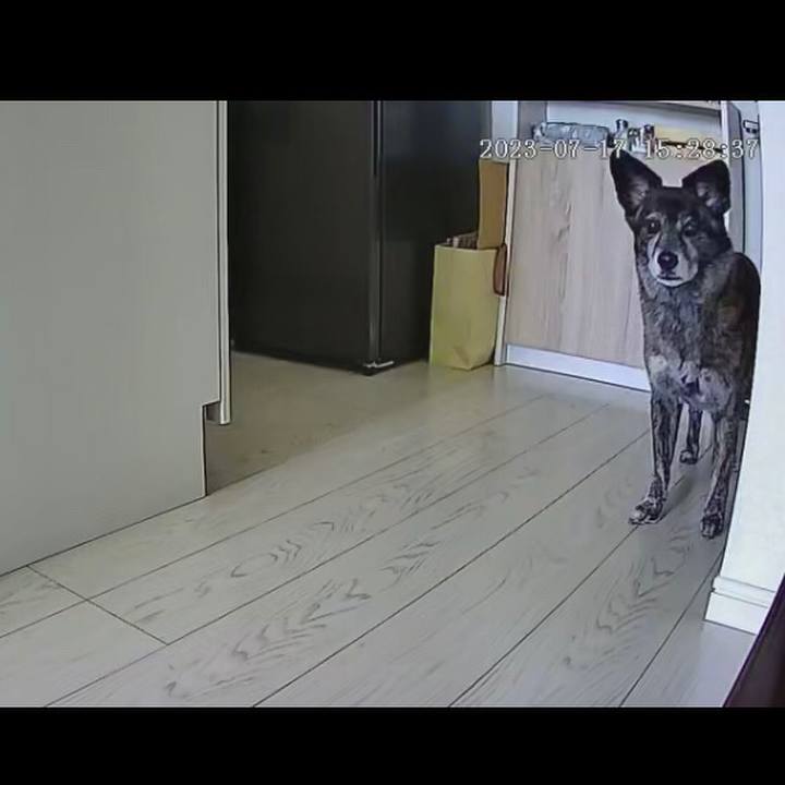 02710e56 d780 4dcd 8681 47ef28c9c861 1689650669736