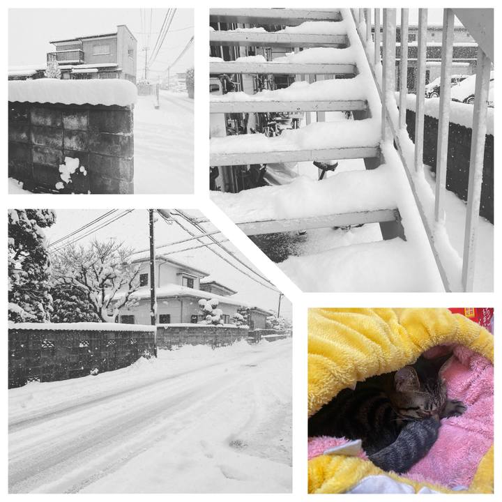 02713f68 20b5 4387 86c2 42f660d2f87c 1608074820736