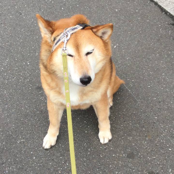 027148f3 2a21 4d70 84eb 252831d84dd5 1614997319935