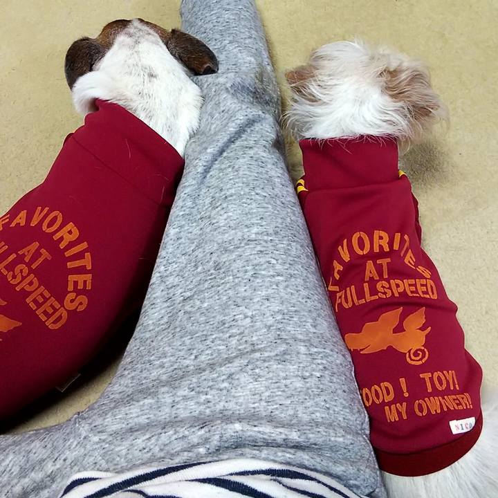 0271919d 563f 4913 8051 a5d9d15cc7c9 1546428579433