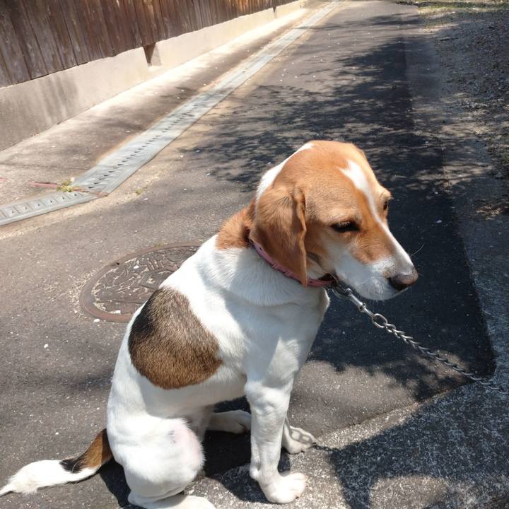 02719b11 97d3 45a7 869d e3c24cdbc278 1587264000769