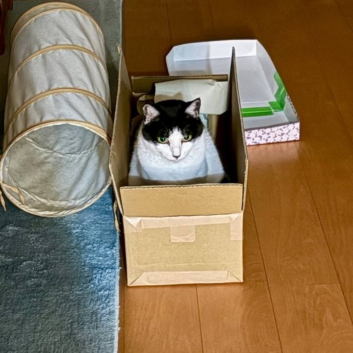 0271a2a9 4696 47a8 8b85 b4d3be0fe1f3 1761840978697