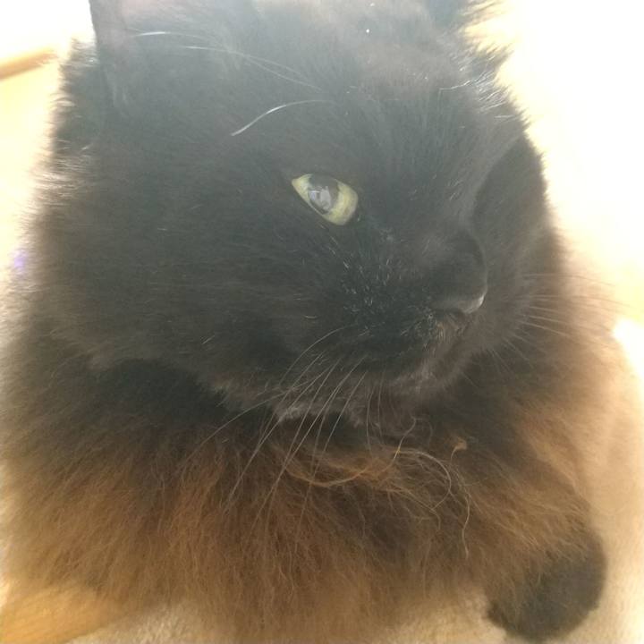 0271b160 a289 42e3 9263 ea6432f5eddc 1669265506655