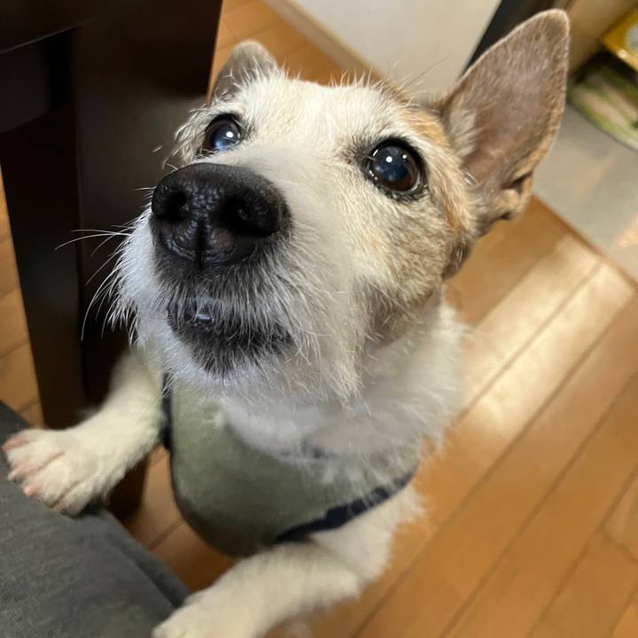 0271d27d 9654 4fb0 8af4 391ff565f876 1741908126973