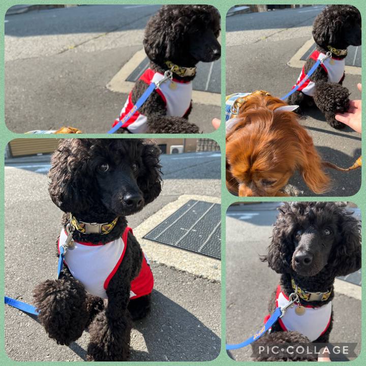 0271f759 ed09 4d97 8a1a d3e4835b3e93 1655040409307