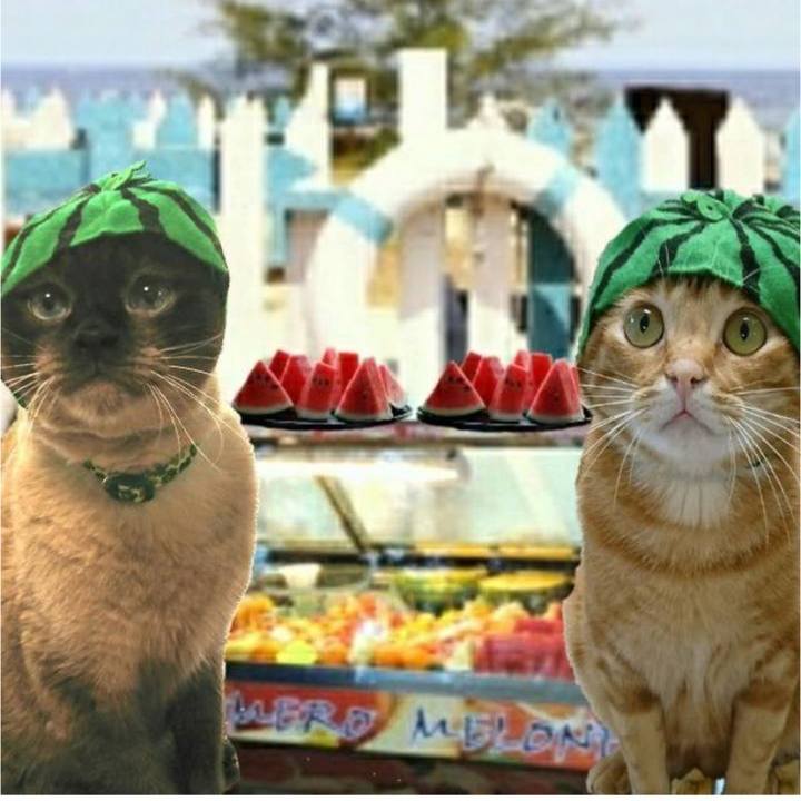 0272027f a908 43ce 8875 9efe443d19b5 1596860120070