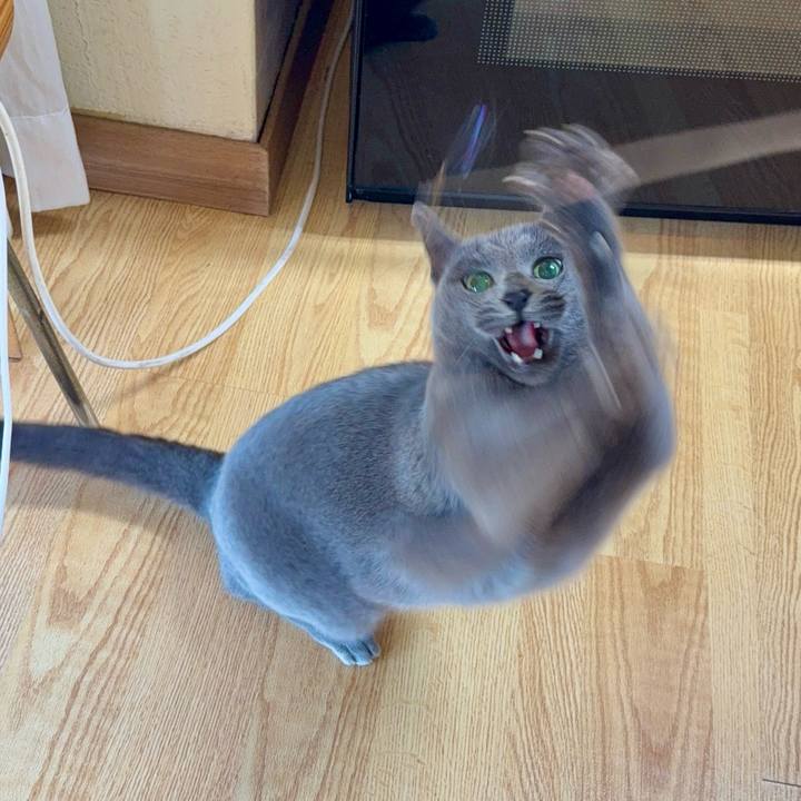 0272322f e294 4174 953a 30e02aa8de0e 1735872053876