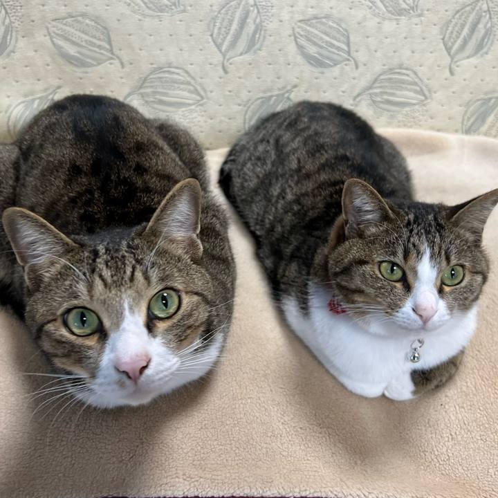 0272348c ab3d 4e12 83dc 5ed6362e7b5f 1735639517063