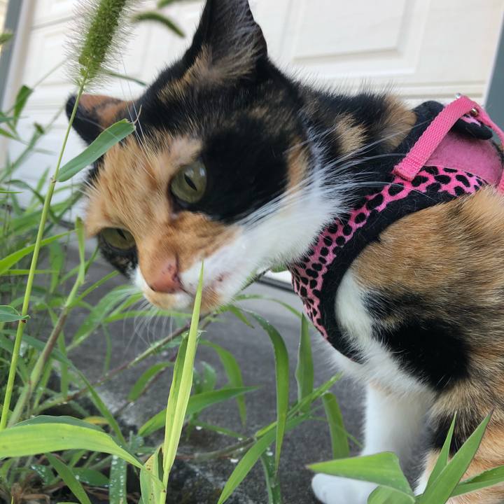 02723c1c 0437 4768 8e63 7543aacbdb39 1534465674946