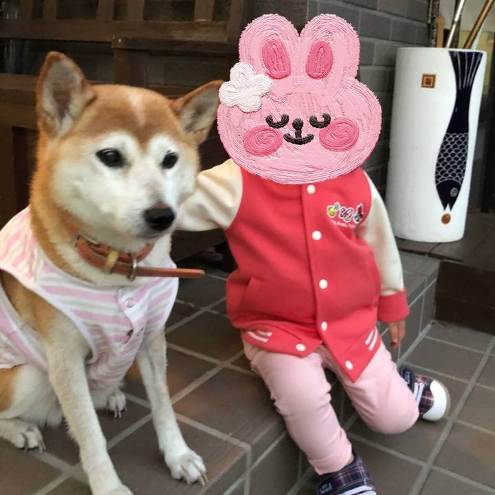 0272561a eb4f 429f ae6a 7d1614dd1c83 1651219909534