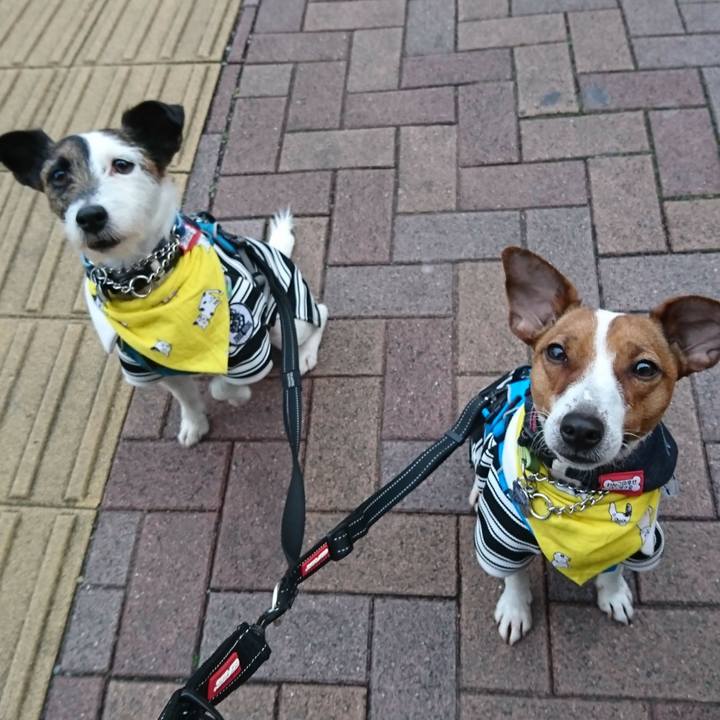 02725bb2 ca7a 412a b433 d26e54376a97 1552205981003