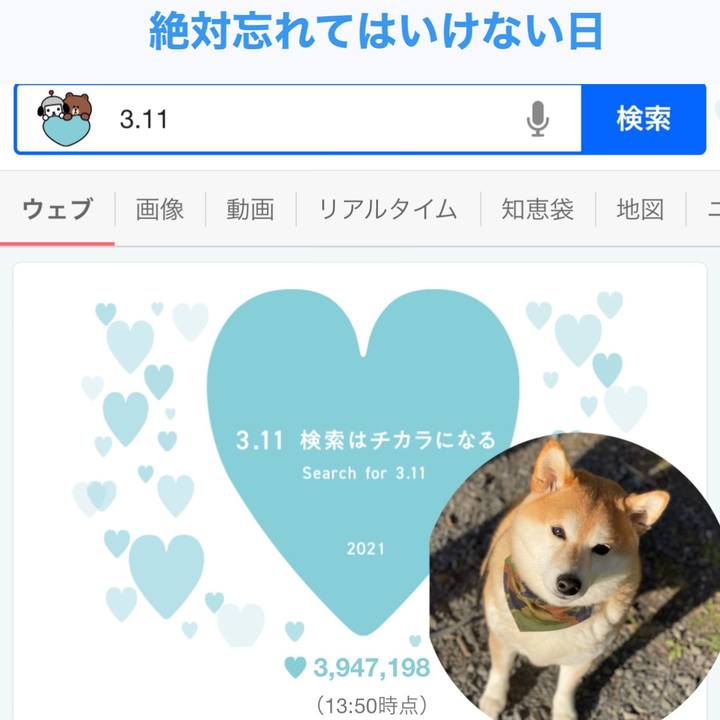 02726b56 5639 44f8 a578 1fb1a94f831e 1615439434928