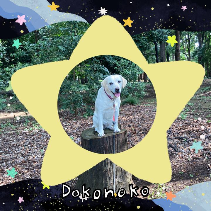 02726ea2 1067 4307 ac2a f5dec6f4aea5 1721256558174