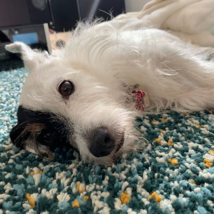 02729055 9ace 42b4 a99b da25329e3245 1691541158433