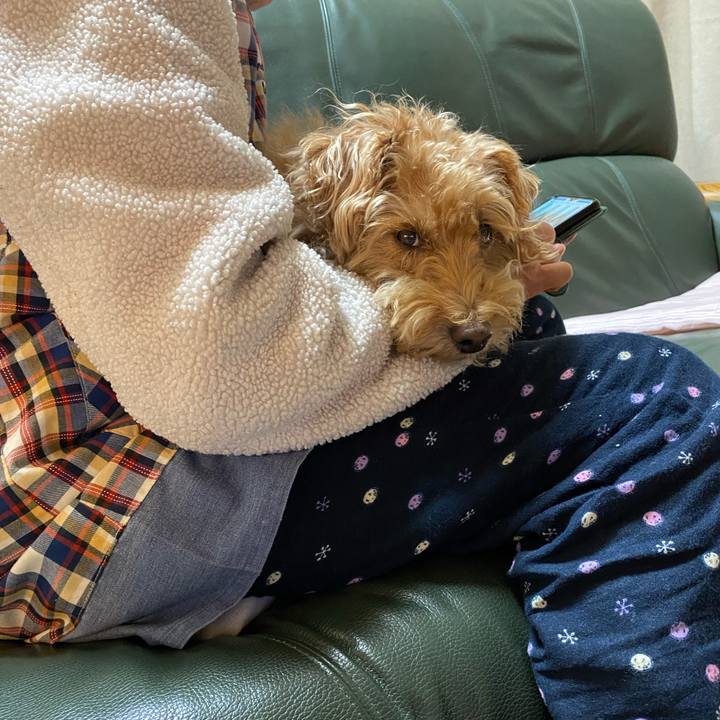 027290c6 4578 4223 90cc ce5f6a2d40b4 1699522024975