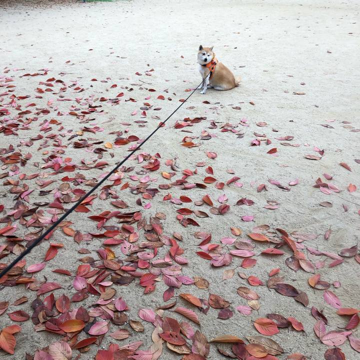 0272d056 b7ea 4b76 bf20 9ca8c39d2fa2 1574682652472