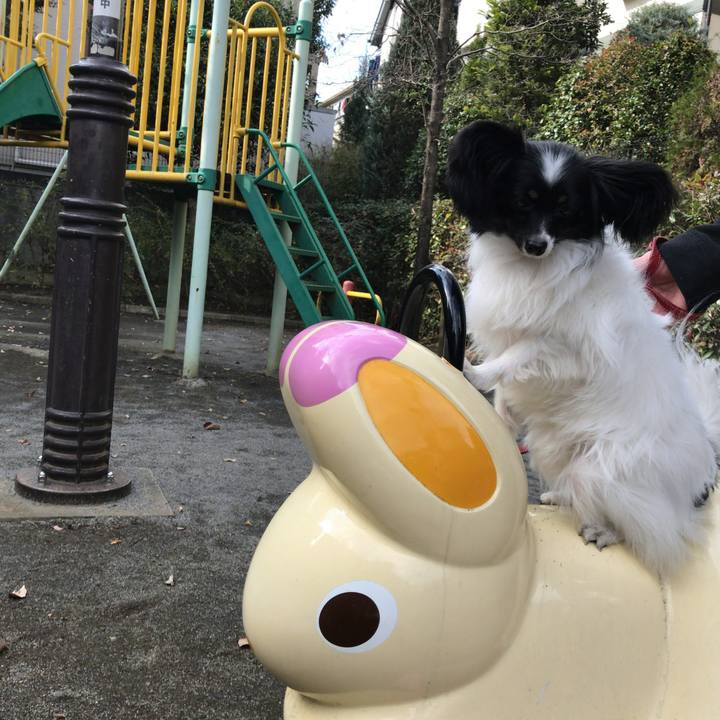 0272d2af e975 4513 8fea f153419c7a12 1511755036497