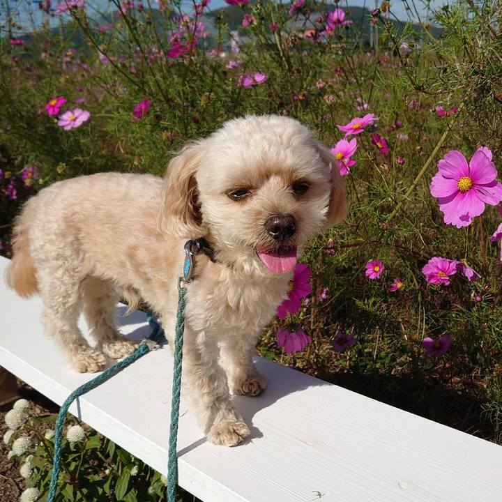 0272e7b2 bf09 443c a62b 716ec25a32fe 1635569018888