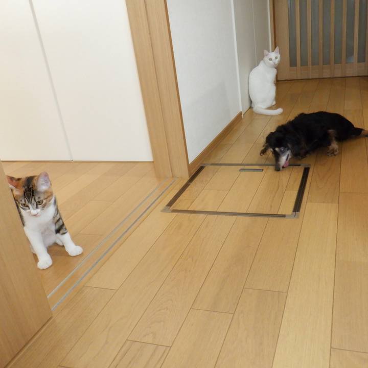 02734807 f61c 471b 9ecf 565b0b94b568 1633656189236