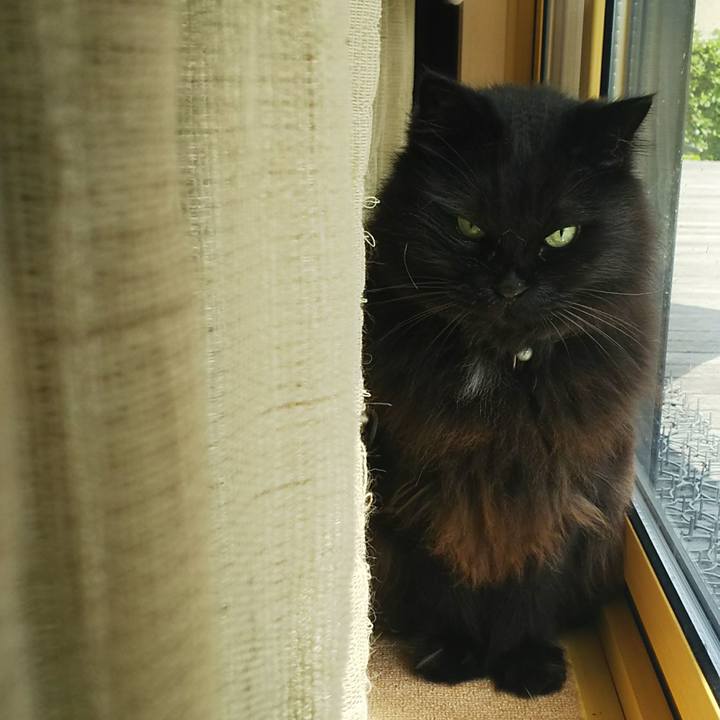 02736363 cf65 4d26 9750 f6e68d7d40aa 1531542097142