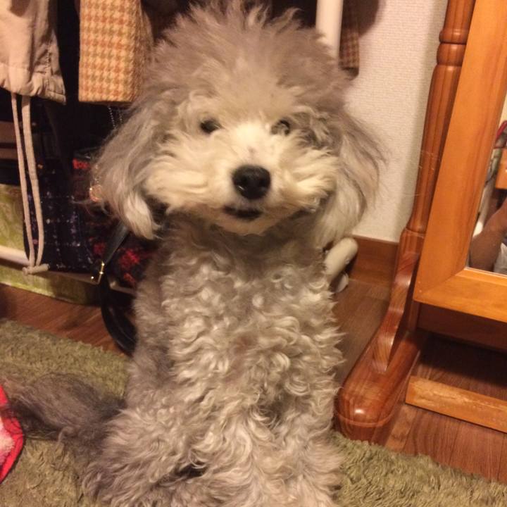 02736662 3ff7 4682 8a67 fa8d75c8ad53 1515107614651