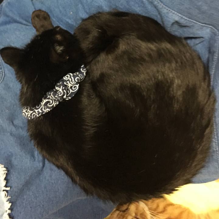 0273a53d bd28 4326 91cf 552d914e0ac0 1537358456811