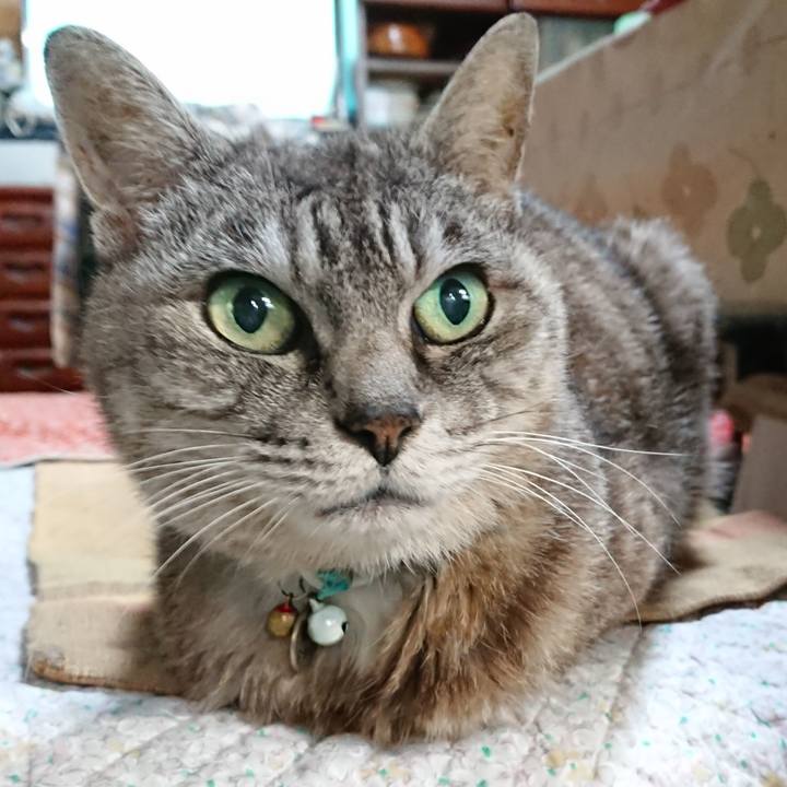 02740621 1f43 4a1d 8a4e 3189d7e53b60 1568686059699