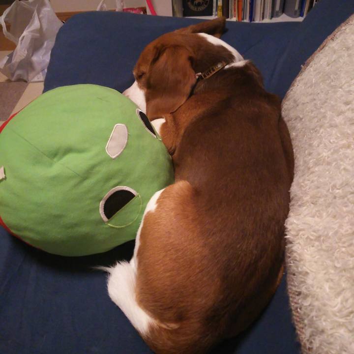 0274099d 8ea8 47ee 8027 e7dc9a949cf7 1592658555595