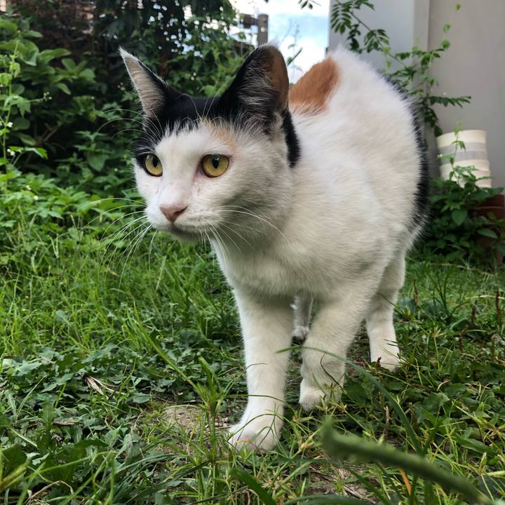 027439be f993 420d 91f2 8228351605bf 1598610966326