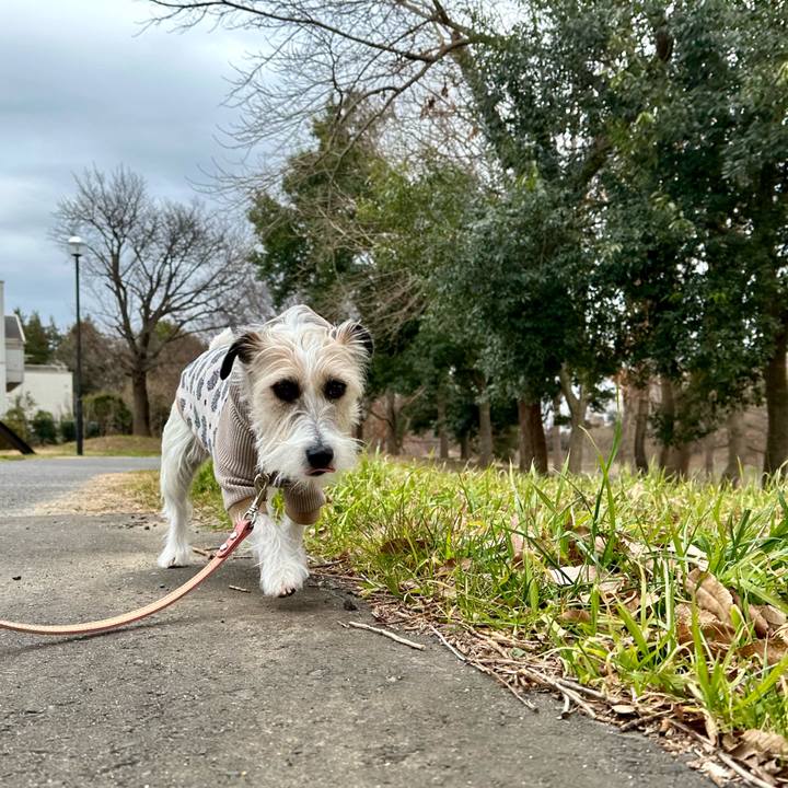 02746945 0fa3 40ef aab7 015f035775b7 1706880493305