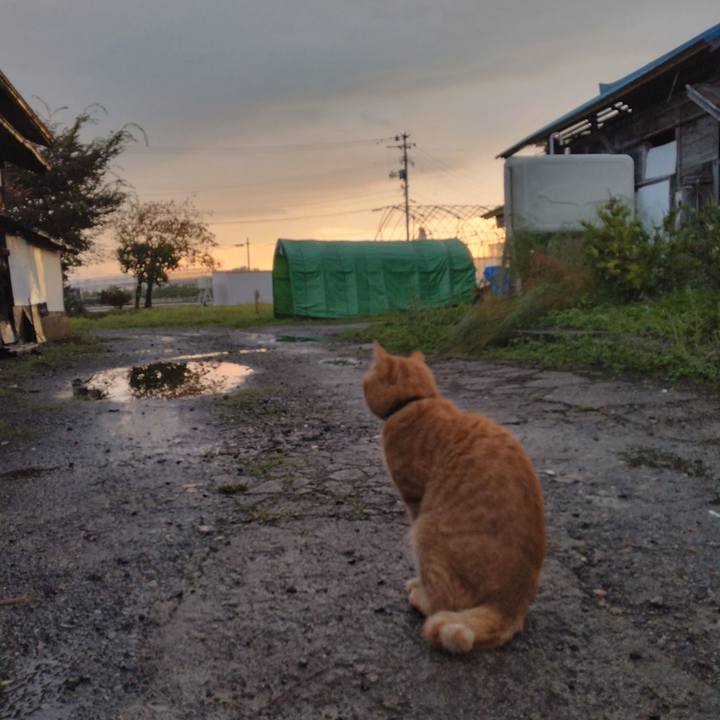 02746fba e93c 4a95 8fd9 401d17982110 1666476571897