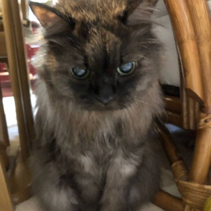 027472d5 6680 482e 89ec e032142d63b5 1538517493634