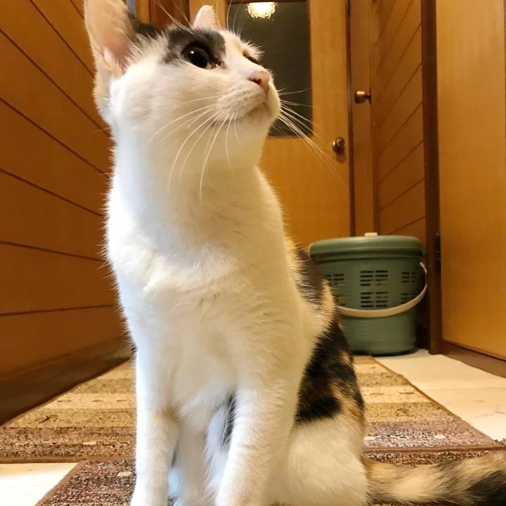 0274e358 3b0e 49fd 904e c57036a0b754 1507683466094