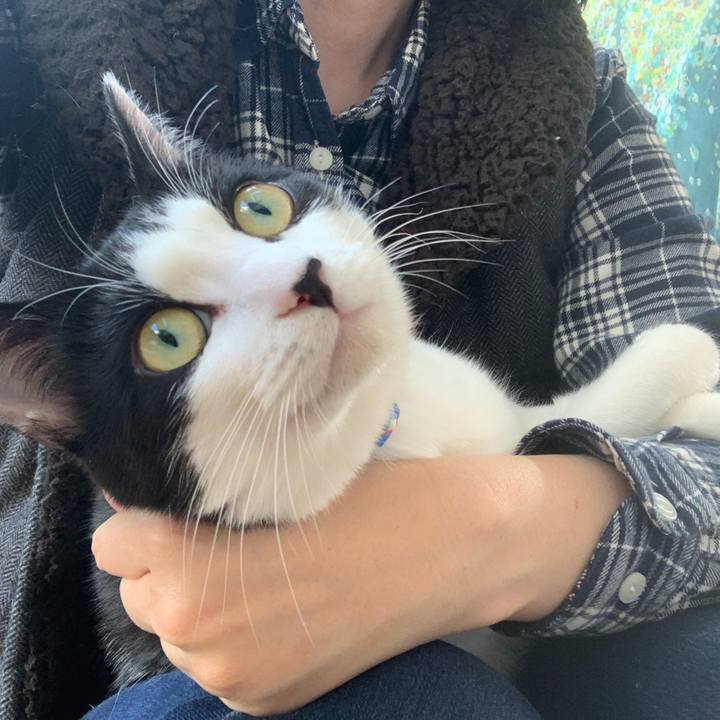 0274f293 307e 4cec 889b 89f8f24a6543 1586656952343