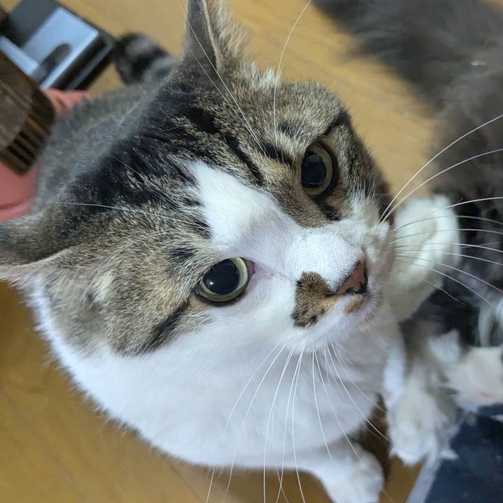 0274fd1c 19e1 4e2a b839 f912d0e158fe 1774474602600