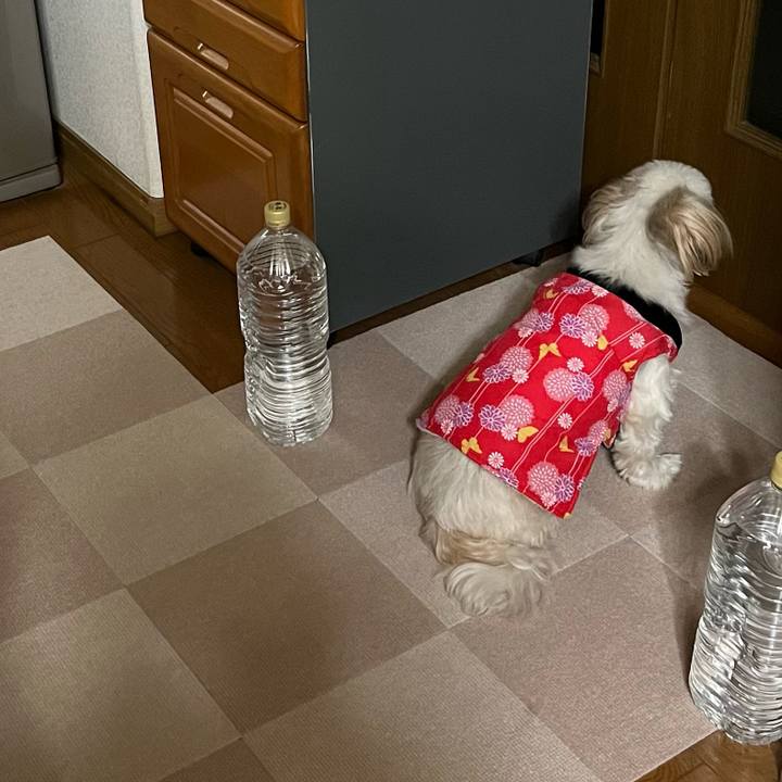 027522d5 28ae 4574 b93f e2ac2074b8cb 1667875656298