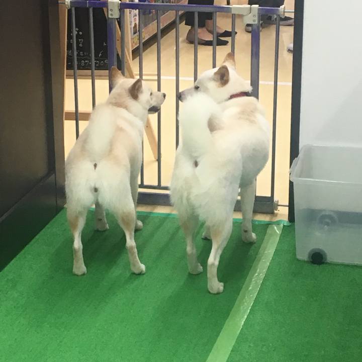 02754983 07e9 41e6 b314 e142fd7c7259 1565185254684