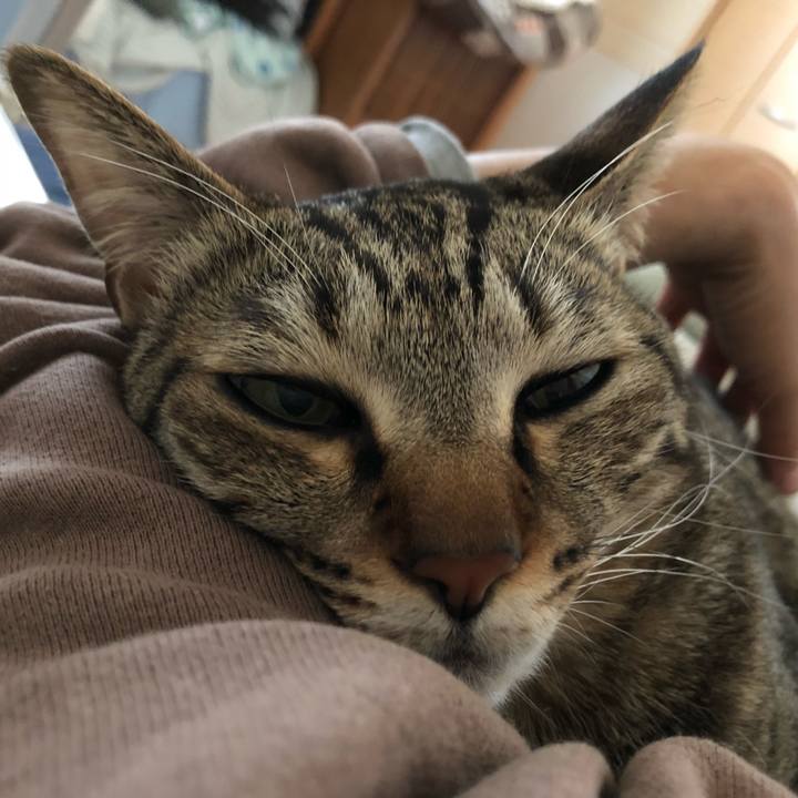 027570f0 9ba0 400f 894c c2d9163b4ede 1524186734443