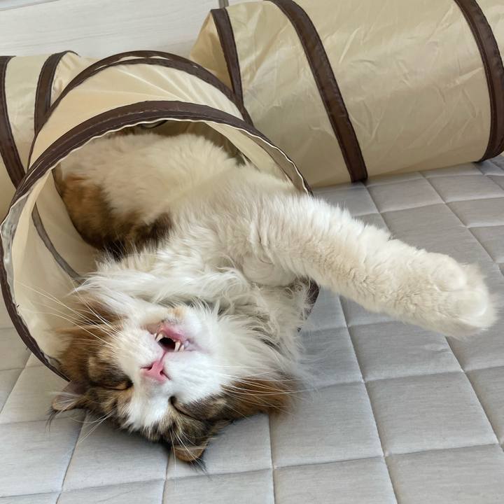 027574fb 2665 46a0 8471 1f7f74307dcb 1754862369866