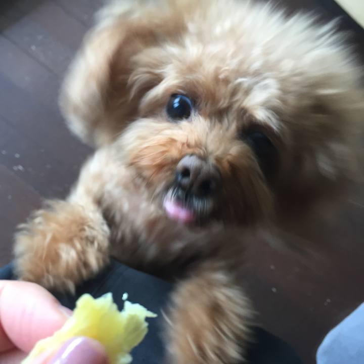 02759d48 8664 4b04 aa40 7290f1b0043e 1508906758397