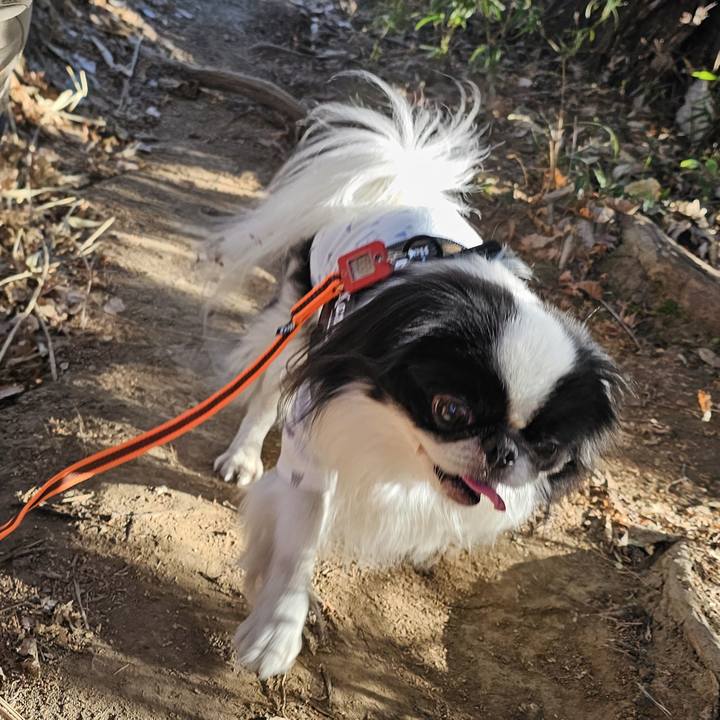 0275cee9 aa79 4dfc bd8e 371358dfd84b 1738296951840