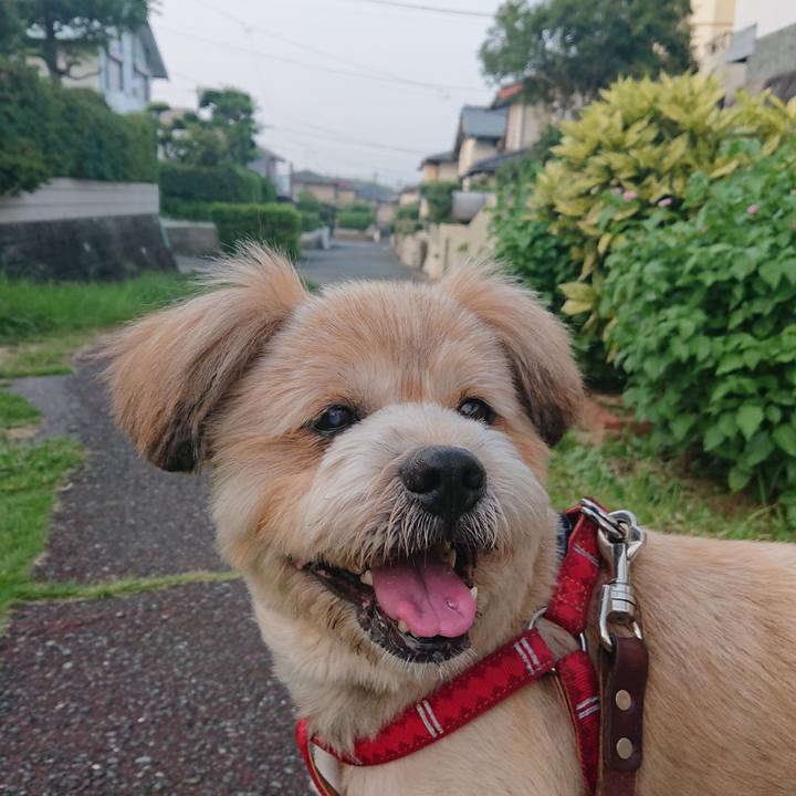 0275f581 eab5 49ce 931a aa19ea34e06d 1596542594722