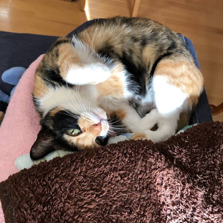 0275f926 8c5e 41b8 8b09 fec6ab0a4c6c 1543027715340