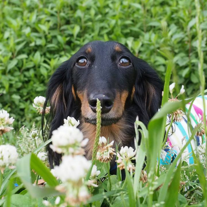 0275fbb2 00b2 471e b6ae eb8d9f11633c 1527563766844