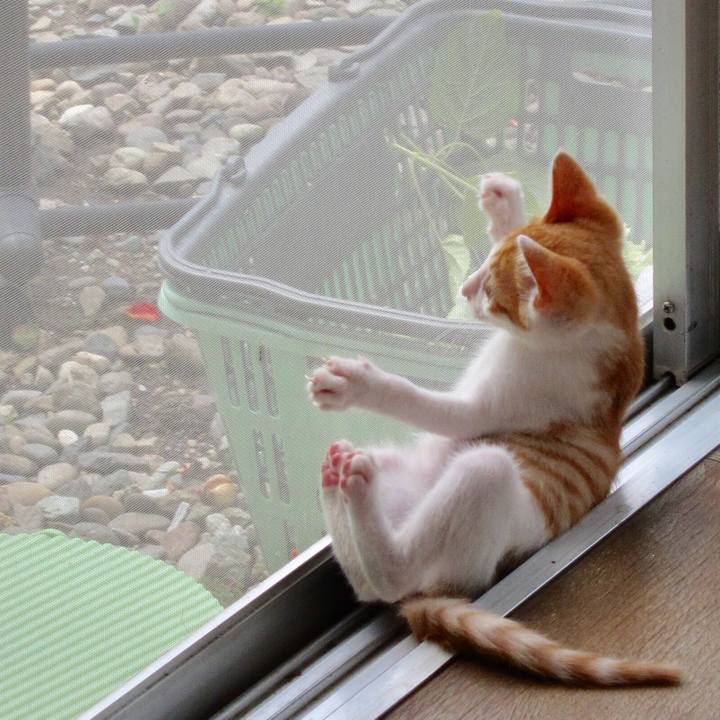 02760e3f 0e72 4804 b838 27aee7ec3270 1538288004067