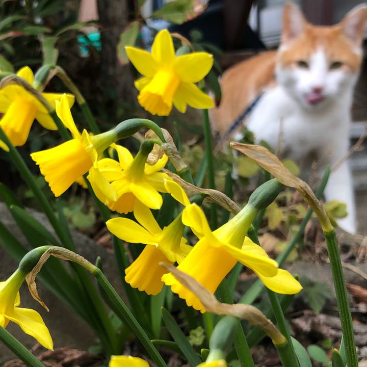 02761435 afd3 40a7 b8d6 3855aece80f3 1553317969998